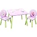 Delta Enterprise Disney Faires Table and Two Chair Set