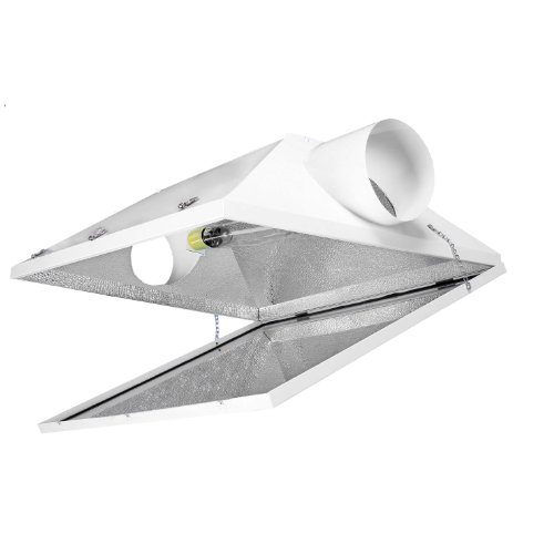 Maverick Sun Big Foot R-BigFoot8