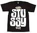 STUSSY(Xe[V[) Crown Block