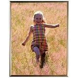 The MULTI-PURPOSE gold ABS plastic frame - 8x10