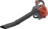 HITACHI RB 24 E Blasger&auml;t Leistung 1,13 PS