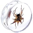 24mm Organic Spider Resin Saddle Plug
