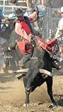 'Bull & Rider' Wall Decal - 20"W x 36"H Removable Graphic