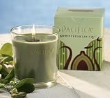 Pacifica Natural Soy Candle- Mediterranean Fig- 5.5 Oz.