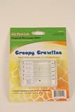 Creepy Crawlies Prepared Slide Mini Set