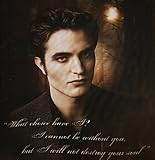 Twilight New Moon  Edward: "Destroy Your Soul" Duvet cover Edward