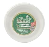 Sugar Cane Disposable Dinner Plates 10