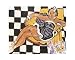 Danseuse Dans Le Fauteuil, Sol En Damier by Henri Matisse Art Print Poster 19.75 x 15.75