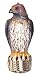 Bird-B-Gone Hawk Decoy for Birds