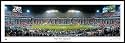 Indianapolis Colts 2007 Super Bowl Champions Stadium Panoramic Print (you choose frame and mat color)