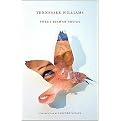 Sweet Bird of Youth (New Directions Paperbook) (Paperback)