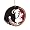 Florida State Seminoles