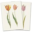 Dutch School Tulips - Box Set of 12 Assorted Greeting Cards and Patterned Envelopes