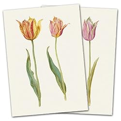 Dutch School Tulips - Box Set of 12 Assorted Greeting Cards and Patterned Envelopes