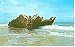 Cape Hatteras Nc Atlantic Graveyard Postcard