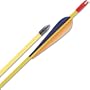 (Price/PAC)ESCALADE SPORTS Safetyglass Target Arrows - 28"- 72 pk.