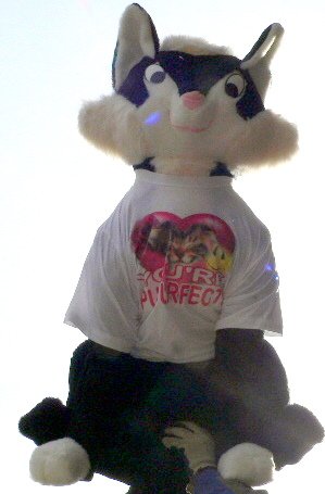 40' GIANT STUFFED CAT WEARS T-SHIRT THAT SAYS: YOU'RE PUUURFECT! - LARGE STUFFED ANIMAL BIG PLUSH - AMERICAN MADE IN THE USA AMERICA