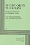 Splendor in the Grass, The Play