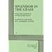 Splendor in the Grass, The Play