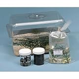 Raise-A-Snail Kit