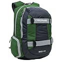 Switchback Boardsling Backpack (green)