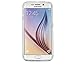 Case-Mate Sheer Glam for Samsung Galaxy S 6 Edge - Champagne