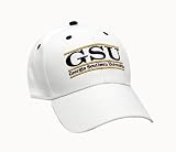 Georgia Southern Eagles The Game Classic Bar Adjustable Cap