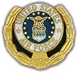 Air Force Wreath Small Pin