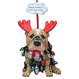 Happy Holidays from Bull-Winkle Ornament