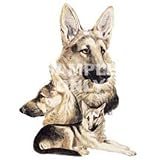 Black German Shepherd Dog Night Light