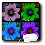 Sandy Mertens Botanical Garden - Cosmos Flower Collage - Mouse Pads ~ 3dRose