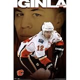 Professionally Framed Calgary Flames (Jarome Iginla) Sports Poster Print - 22x34 with RichAndFramous Black Wood Frame