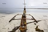 Wallmonkeys Peel and Stick Wall Graphic - Kenya: Diani Beach: Canoe to Pendulum Mango Tree Wood - 72