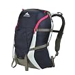 Gregory Angora 26 Daypack