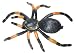 All Products : Tarantula Plastic Spider Toy