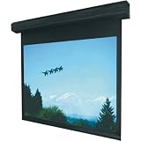96 X 54 Lectric I RF 16:9 110 Motorized Projection Screen - 110 Diagonal With RF Remote