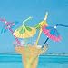48 Multicolored Tropical Umbrella Straws