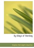 By-Ways of Bombay (Large Print Edition)
