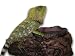Magnaturals Food & Water Ledge Earth - Magnetic Decor