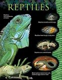 REPTILES SMALL CHART