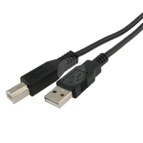 eForCity 10FT USB 2.0 Device Black A To B Cable On Sale