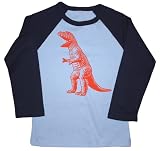 T Rex Dinosaur Boys 3/4 Sleeve Light Blue and Navy American Apparel T Shirt