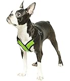 Gooby Choke Free Step-In Comfort X Dog Harness, Medium, Green