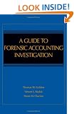 A Guide to Forensic Accounting Investigation