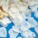 White Rose Petals (Receive 200 Petals Per Order)