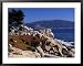 17-Mile Drive, Pescadero Point, Carmel, California, USA Framed Art Poster Print by Nik Wheeler, 39x31