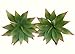 Neuhaus Decor 2 x 6.5 Agave Cacti, Artificial Plants