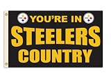 NFL Pittsburgh Steelers 3-by-5 Foot "In Country" Flag