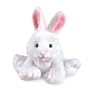 Webkinz Rabbit
