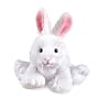 Webkinz Rabbit